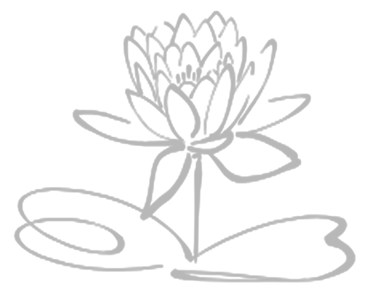 菊のイラストの画像